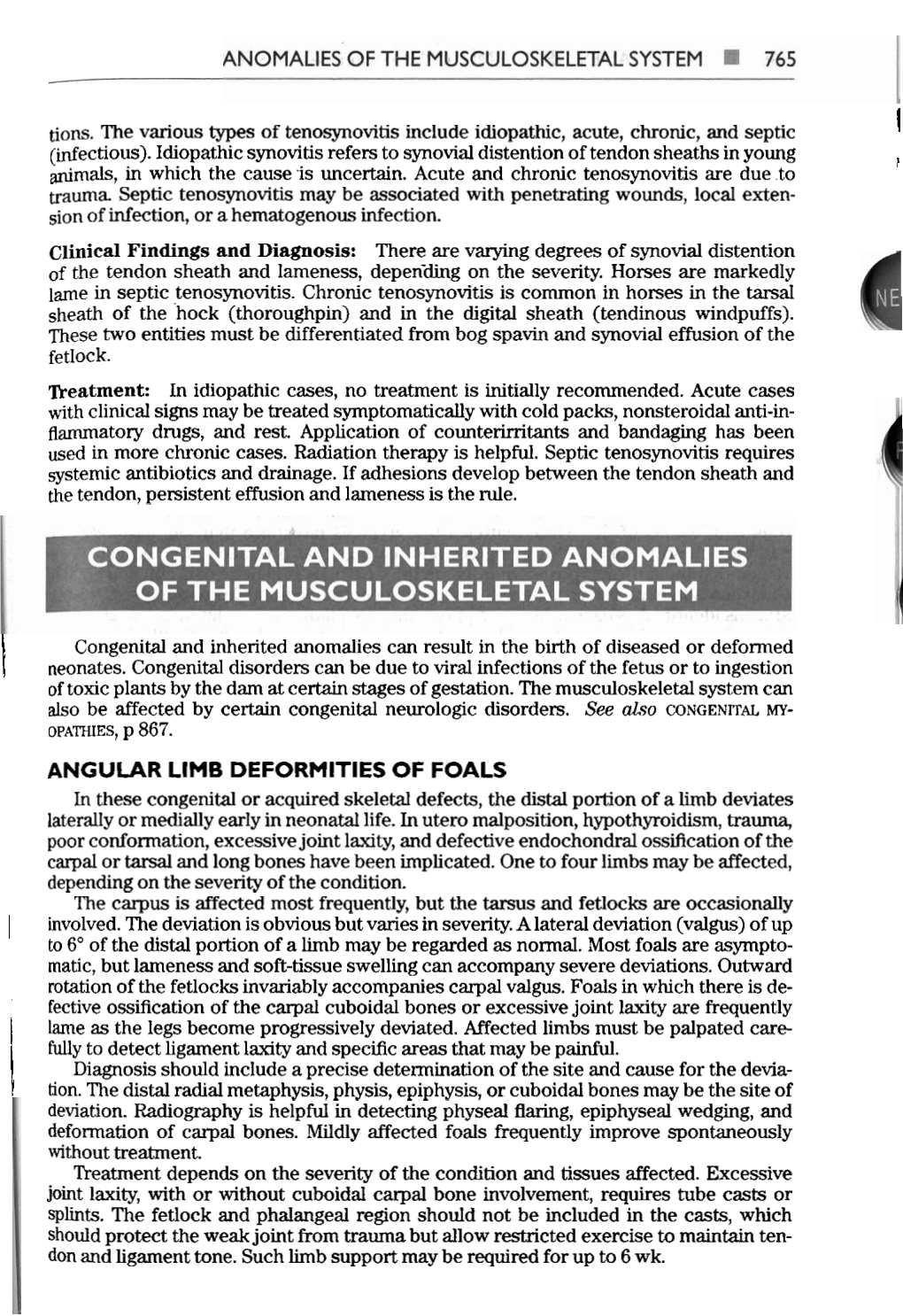 ANGULAR LIMB DEFORMITIES of FOALS in These Congenital Or Acquired Skeletal Defects, the Distal Portion of a Limb Deviates Laterally Or Medially Early in Neonatal Life