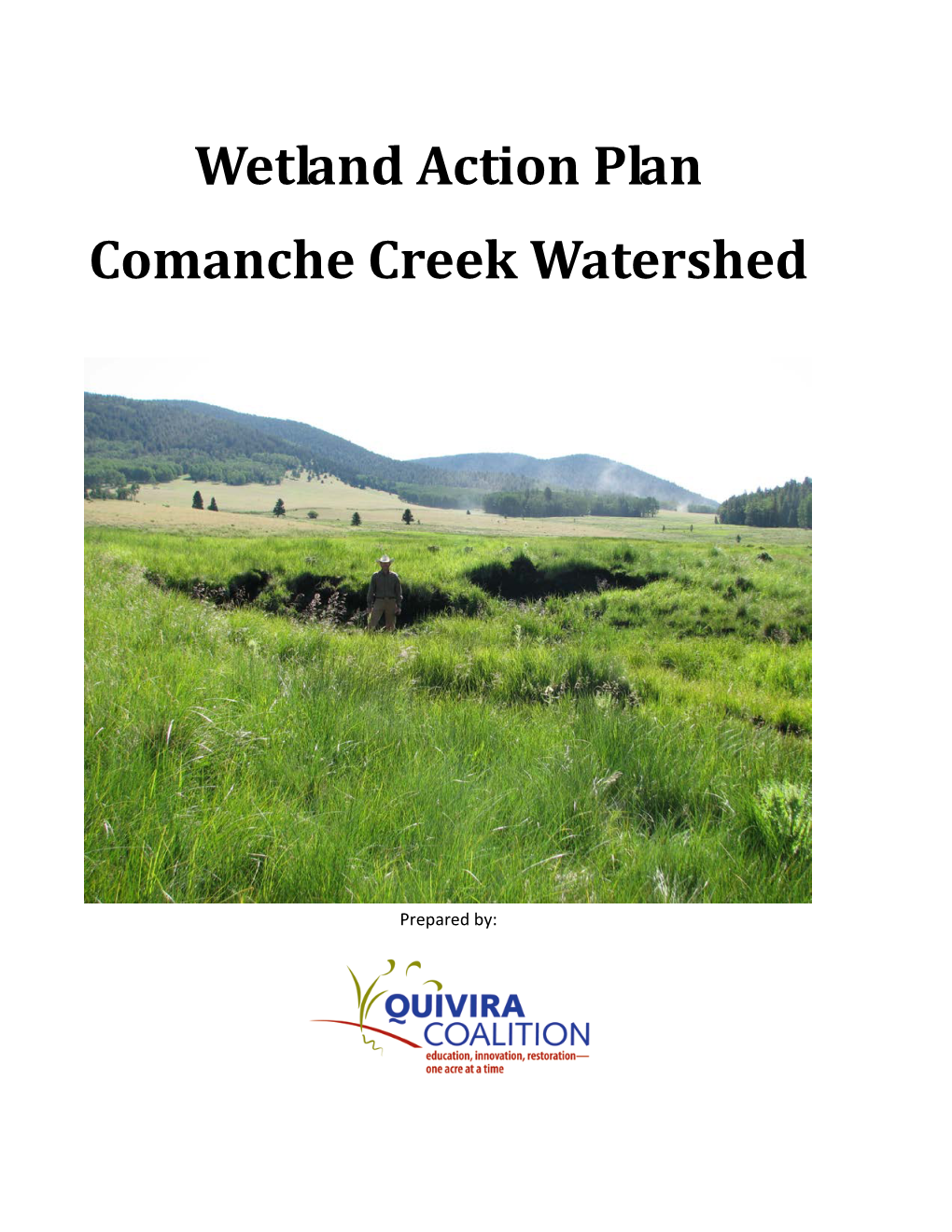 Wetland Action Plan Comanche Creek Watershed