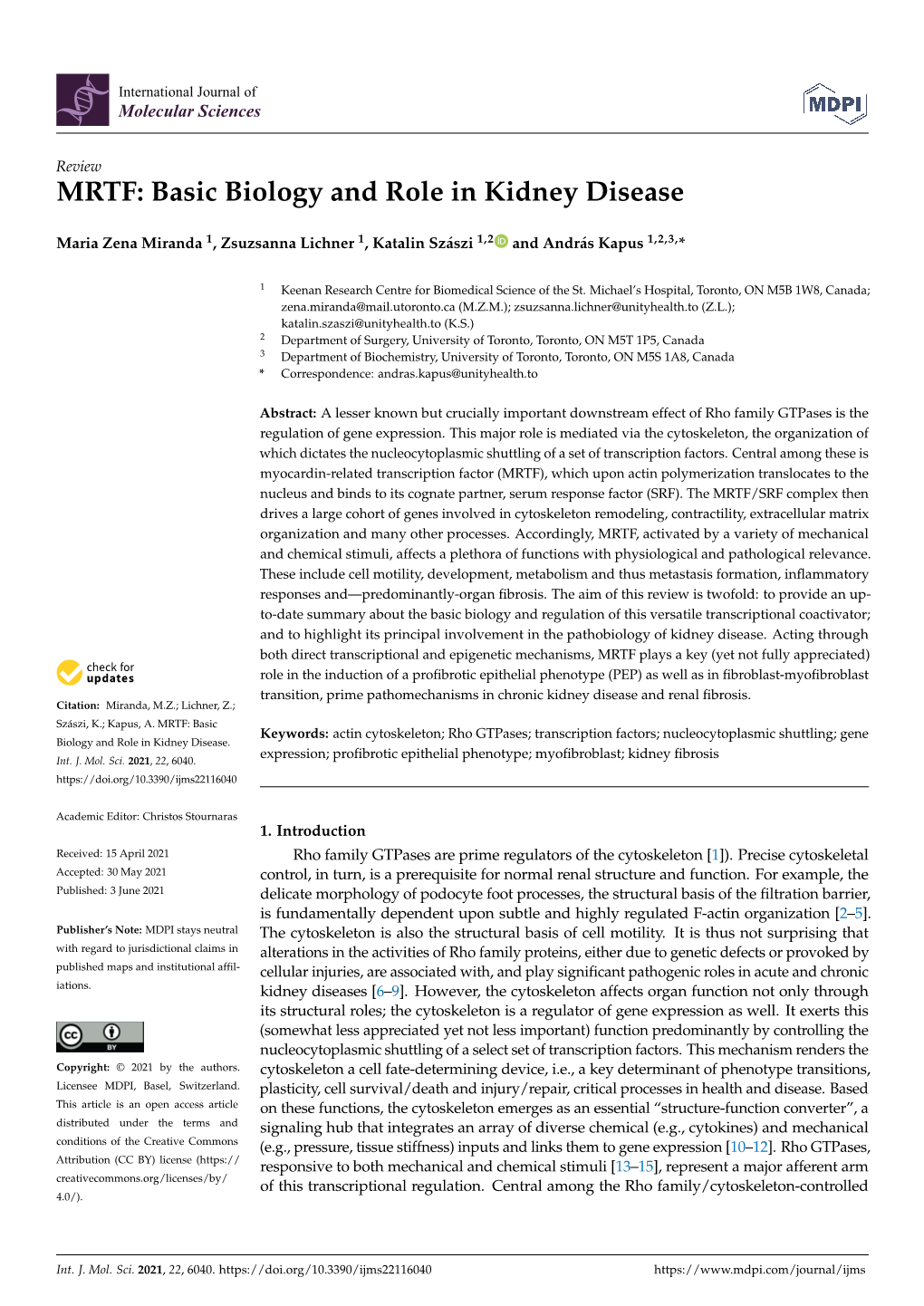 MRTF: Basic Biology and Role in Kidney Disease