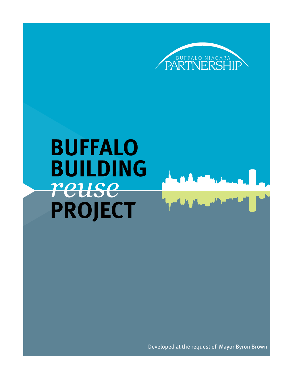 Buffalo Building Project