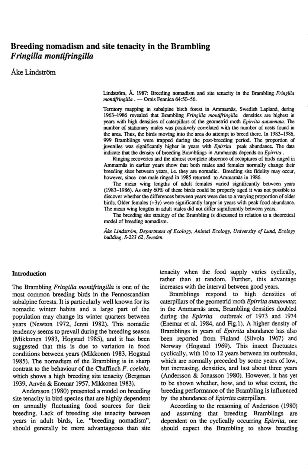 Breeding Nomadism and Site Tenacity in the Brambling Fringilla Montifringilla