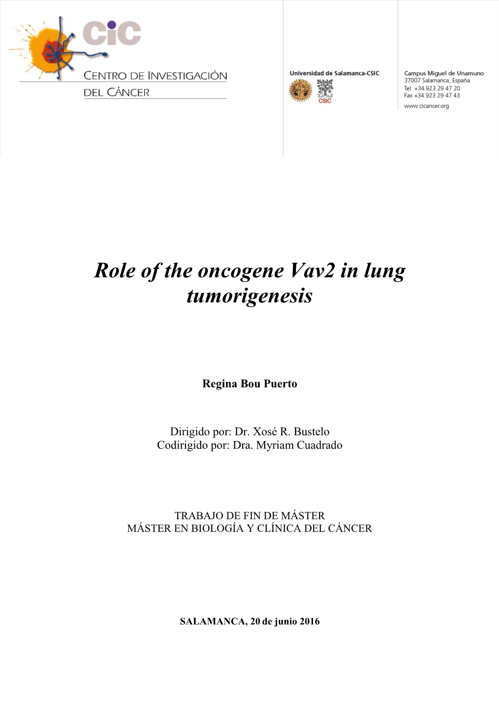 Role of the Oncogene Vav2 in Lung Tumorigenesis