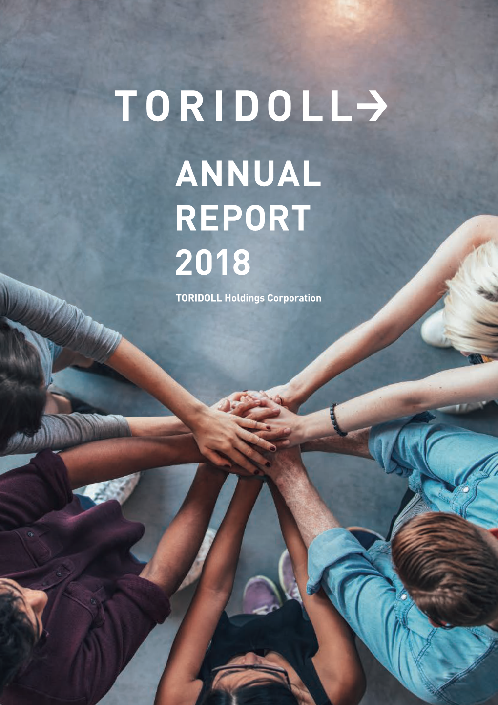 Annual Report 2018