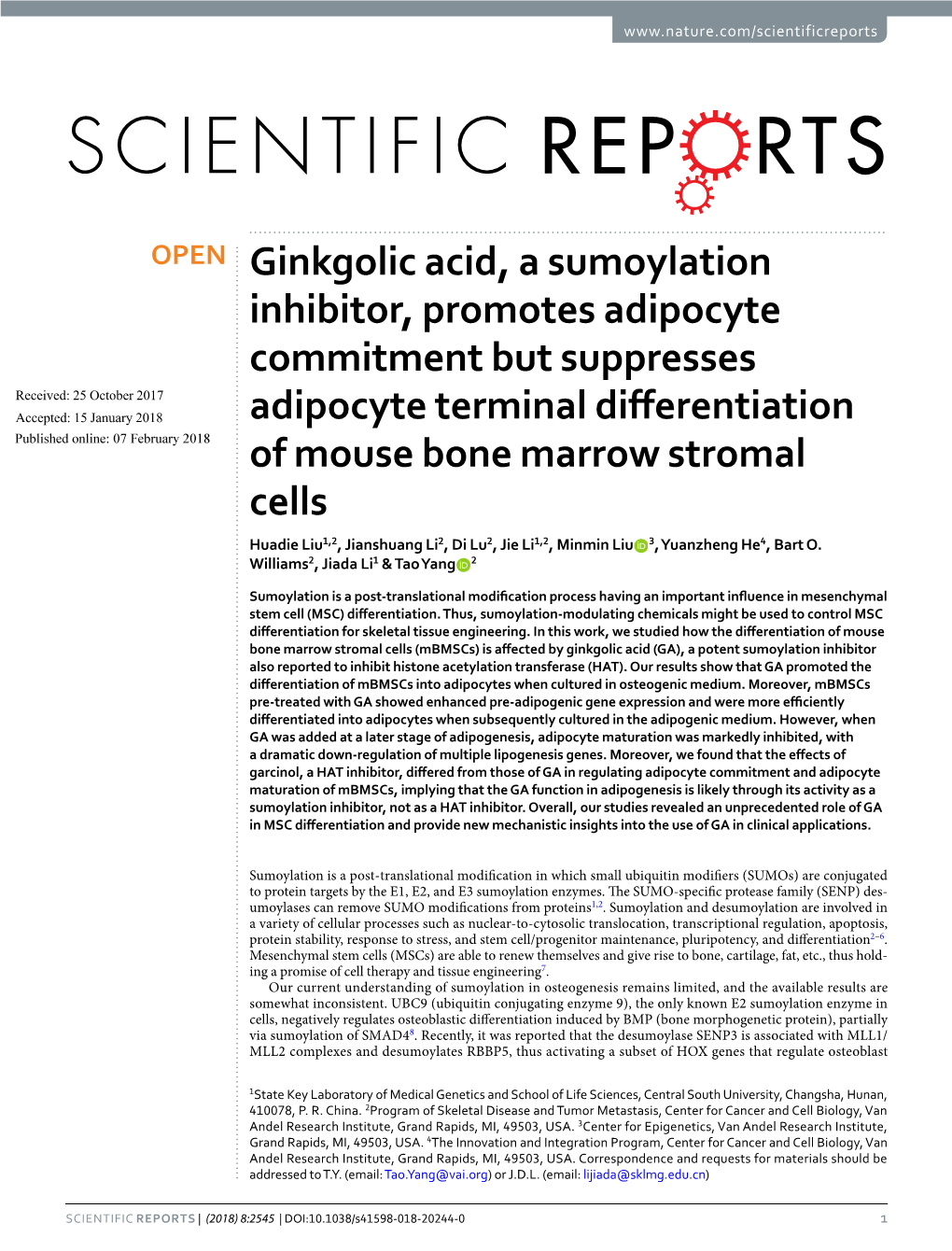 Ginkgolic Acid, a Sumoylation Inhibitor, Promotes Adipocyte