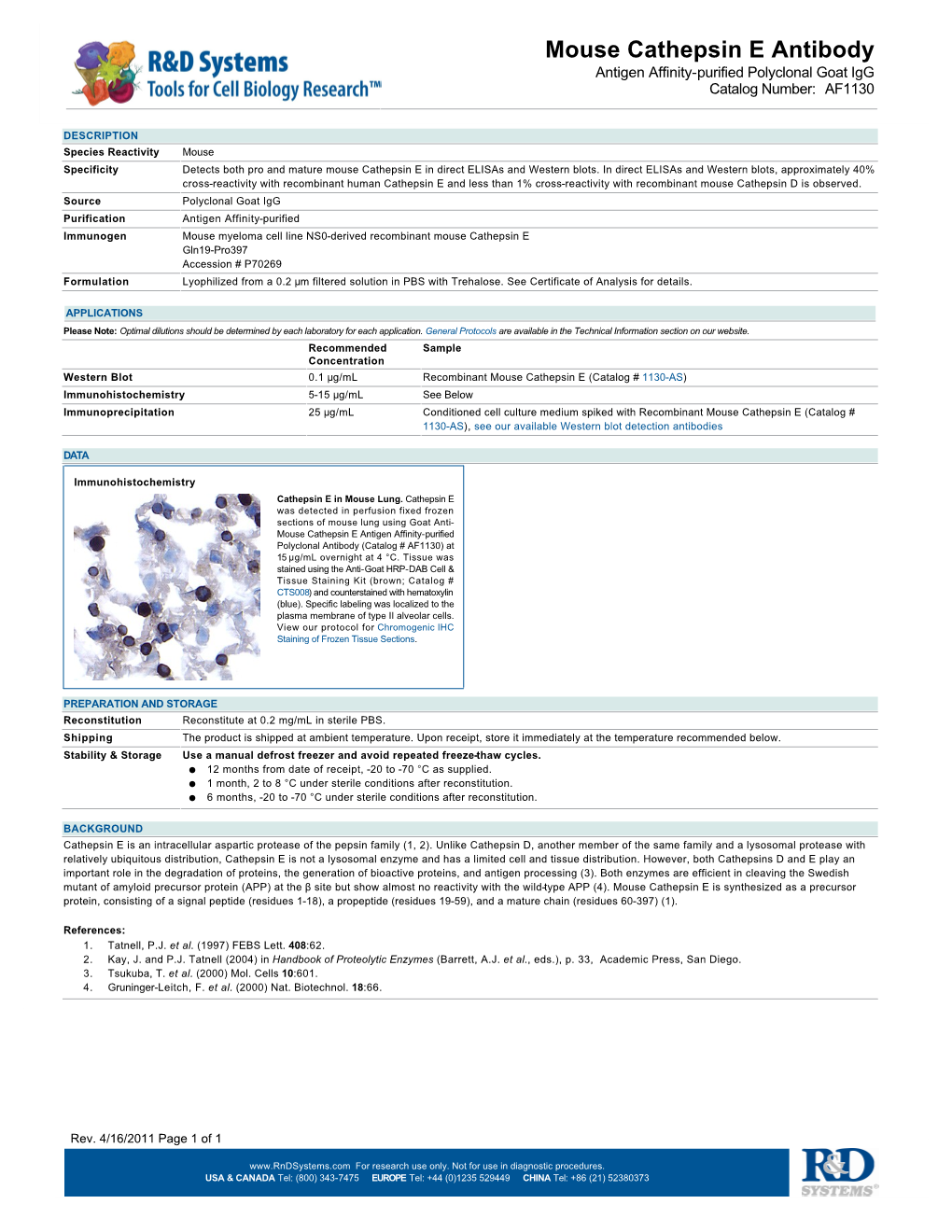 Mouse Cathepsin E Antibody Antigen Affinity-Purified Polyclonal Goat Igg Catalog Number: AF1130