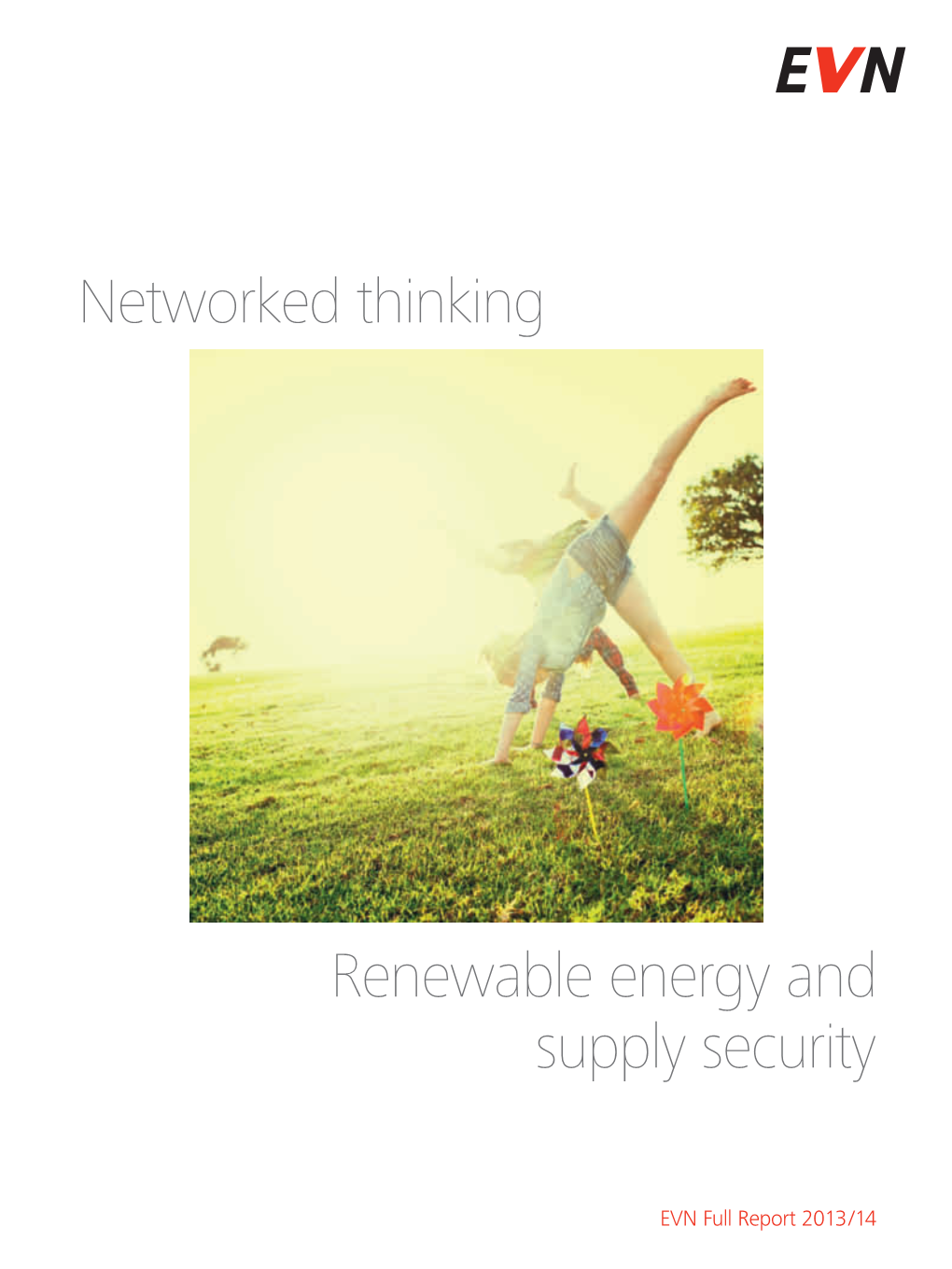 Networked Thinking Renewable Energy and Supply Security