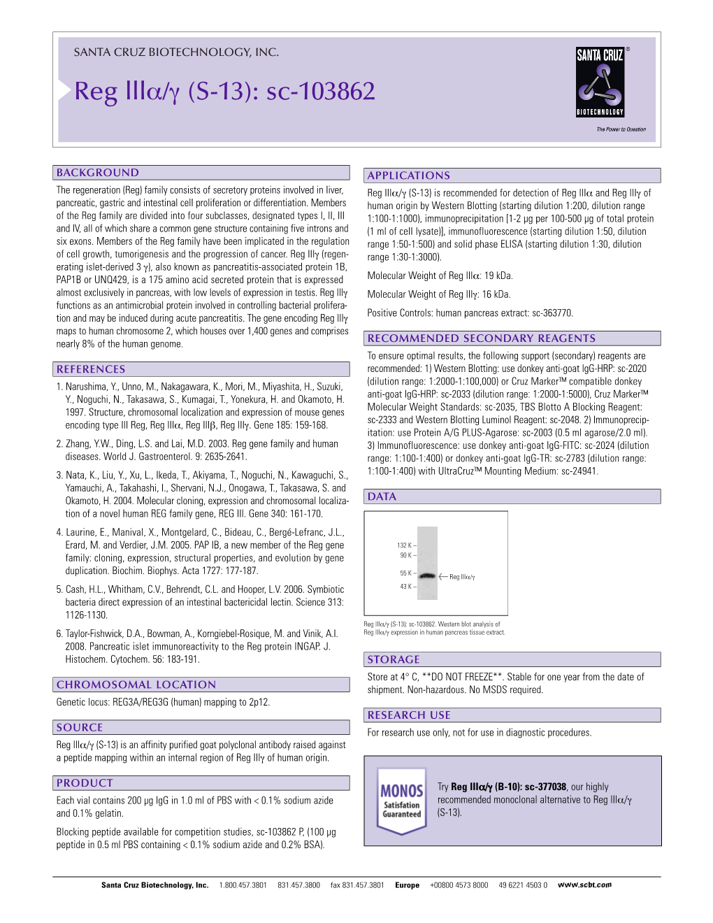 Datasheet Blank Template