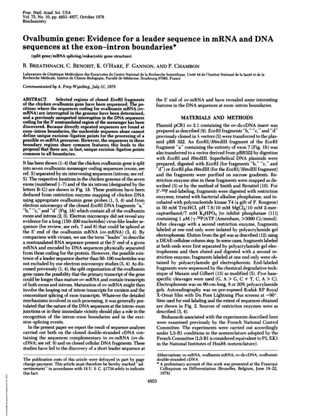 Sequences at the Exon-Intron Boundaries* (Split Gene/Mrna Splicing/Eukaryotic Gene Structure) R