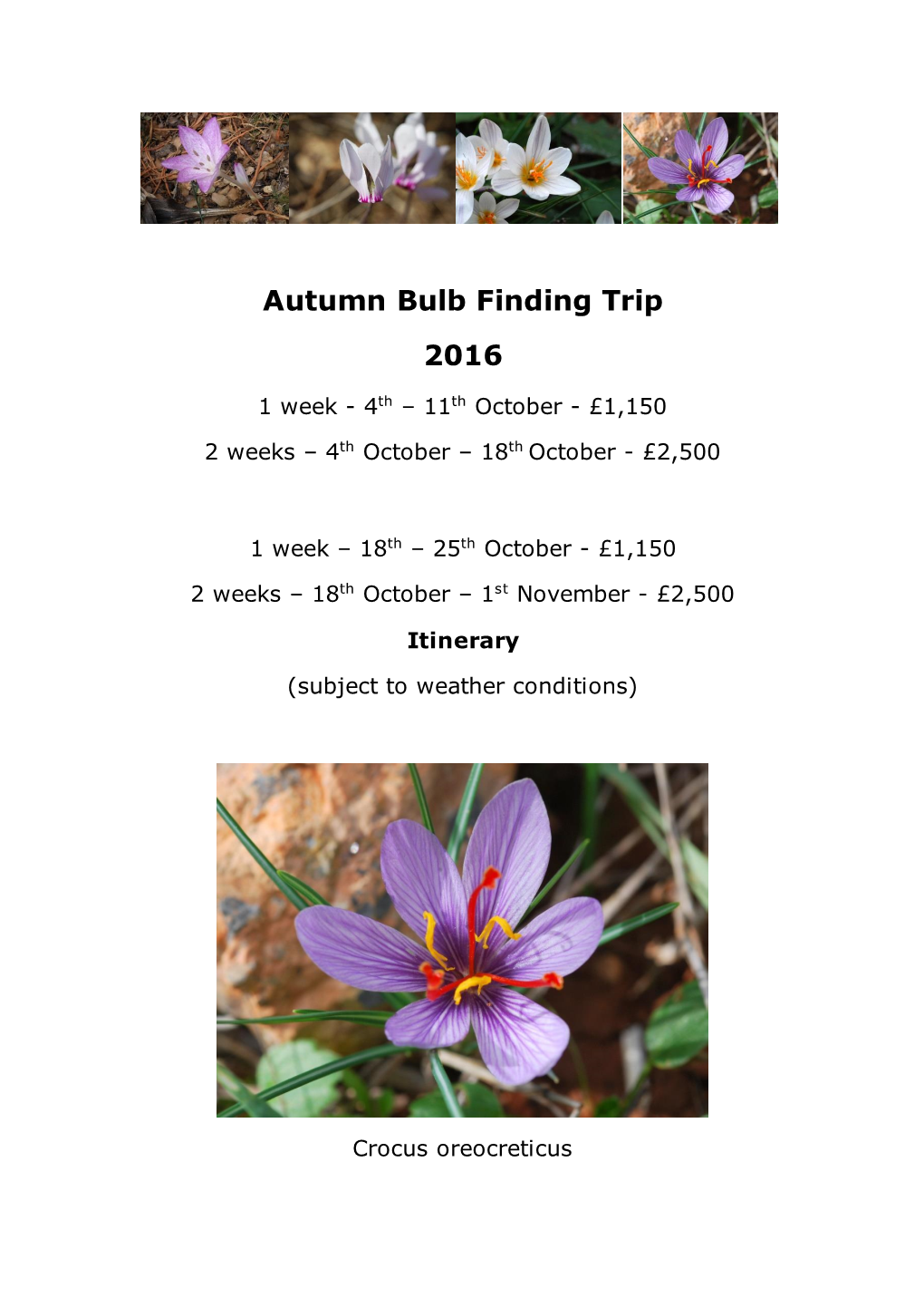 Autumn Bulb Finding Trip 2016