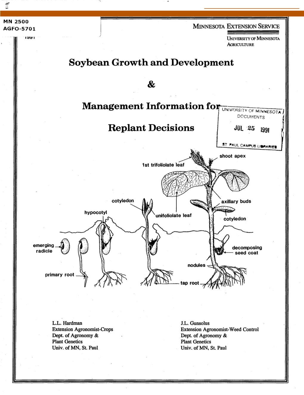 Soybean Growth and Development & Management Information Fo Replant Decisions