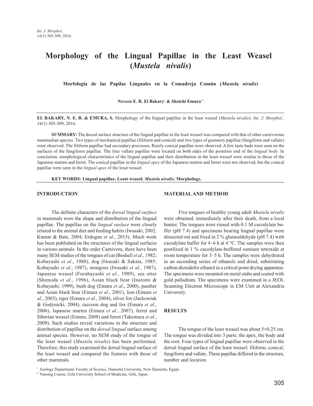 Morphology of the Lingual Papillae in the Least Weasel (Mustela Nivalis)