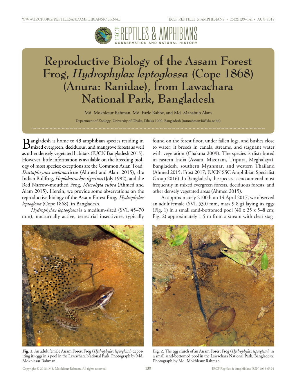 Reproductive Biology of the Assam Forest Frog, Hydrophylax Leptoglossa