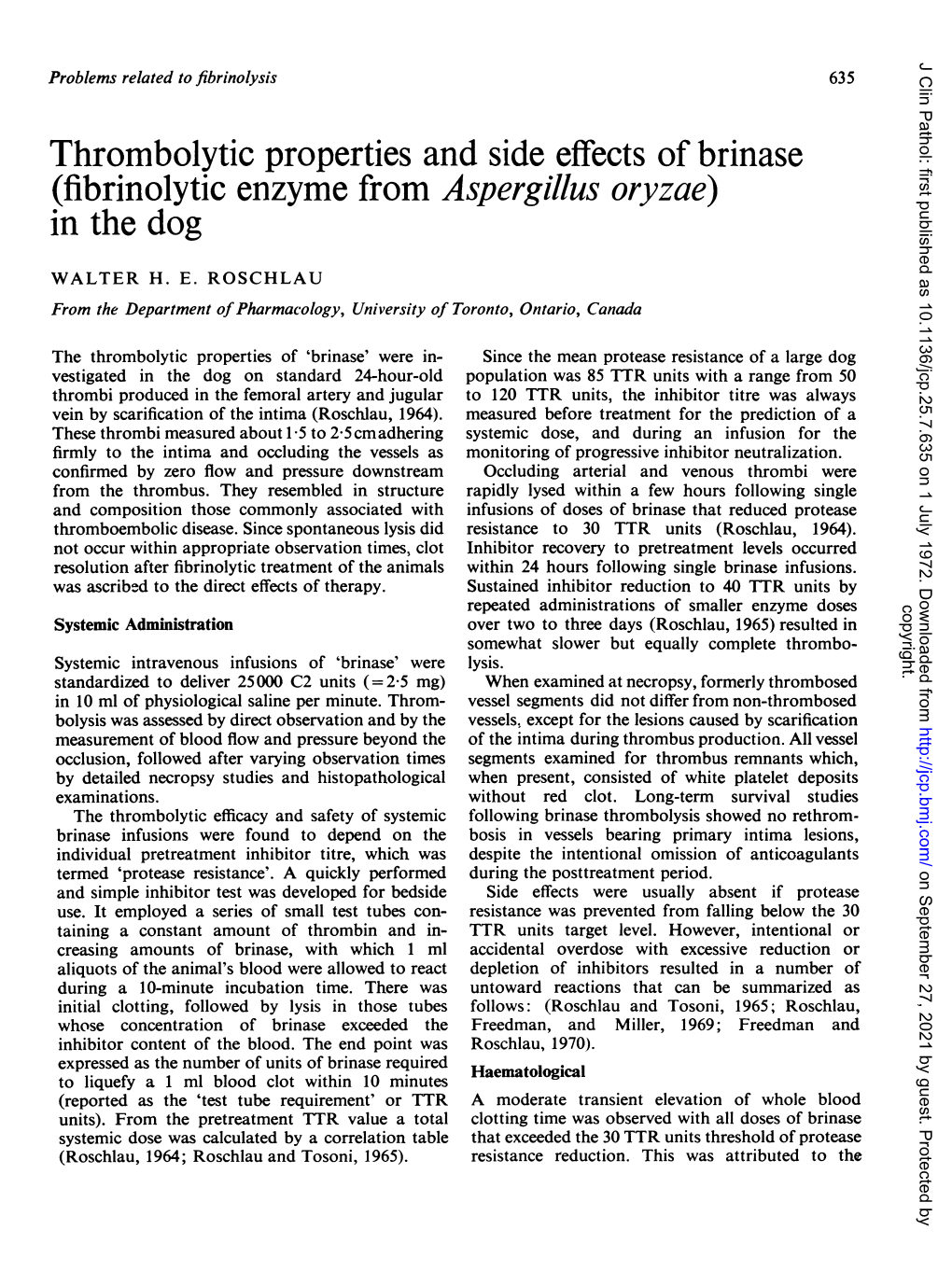 Fibrinolytic Enzyme from Aspergillus Oryzae) in the Dog