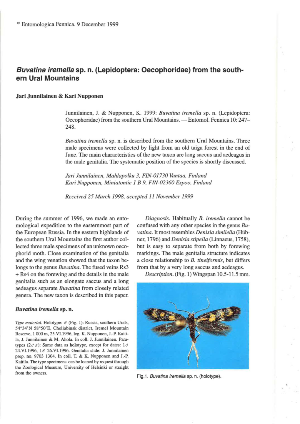 Lepidoptera: Oecophoridae) from the South­ Ern Ural Mountains