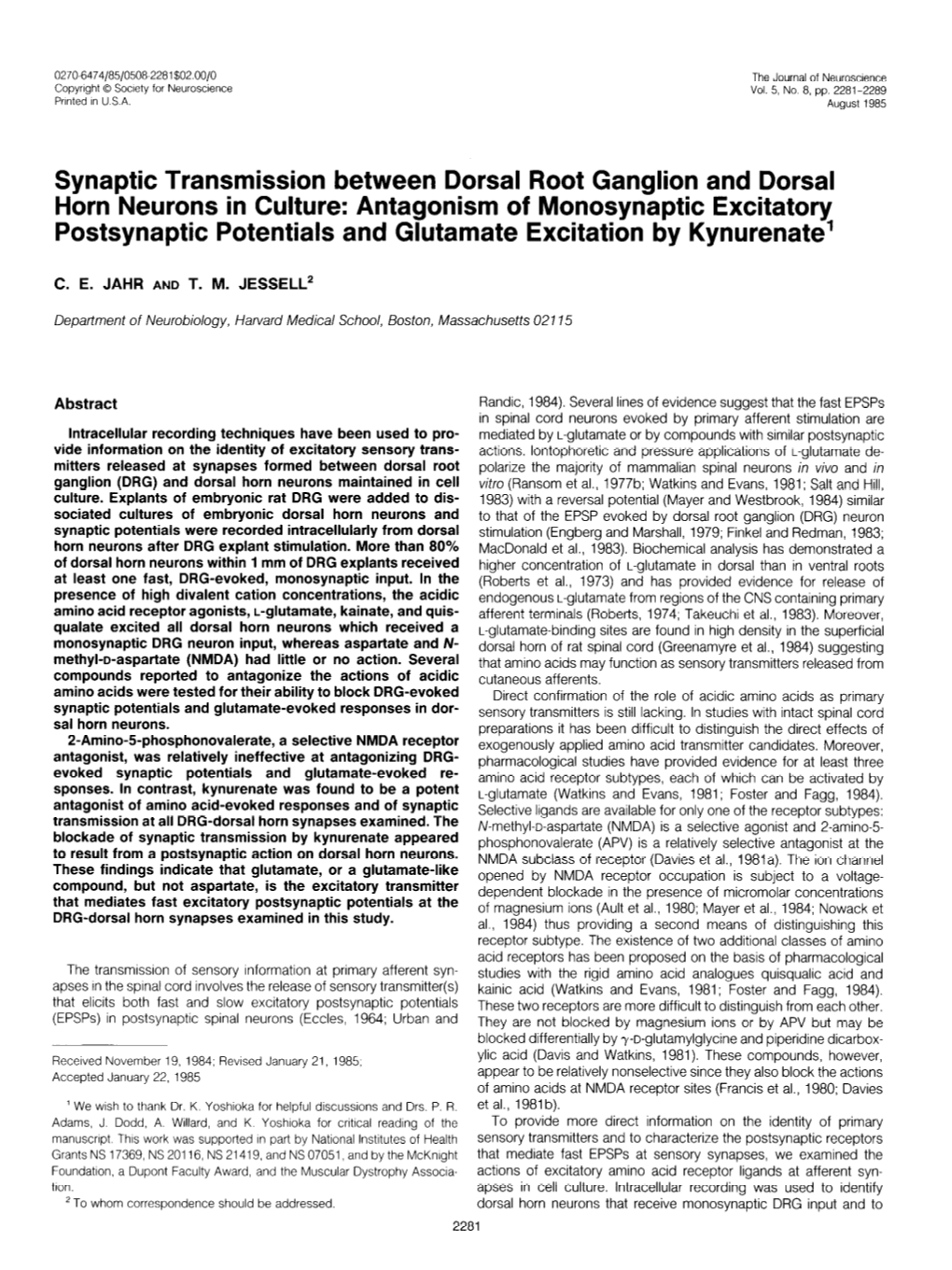 Synaptic Transmission Between Dorsal Root Ganglion and Dorsal