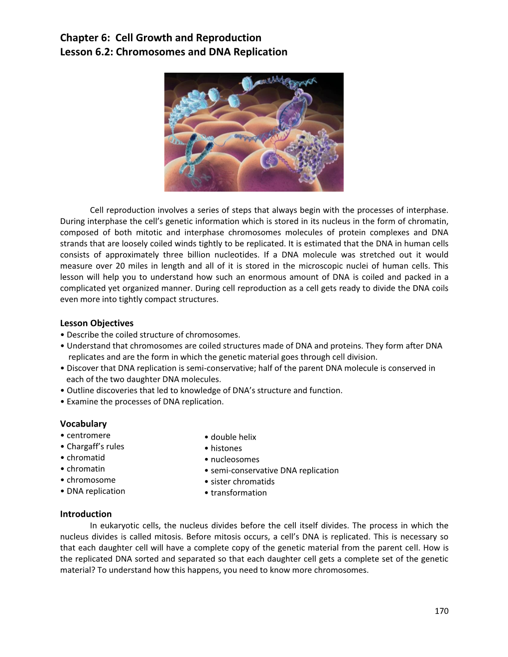 Cell Growth and Reproduction Lesson 6.2: Chromosomes and DNA Replication