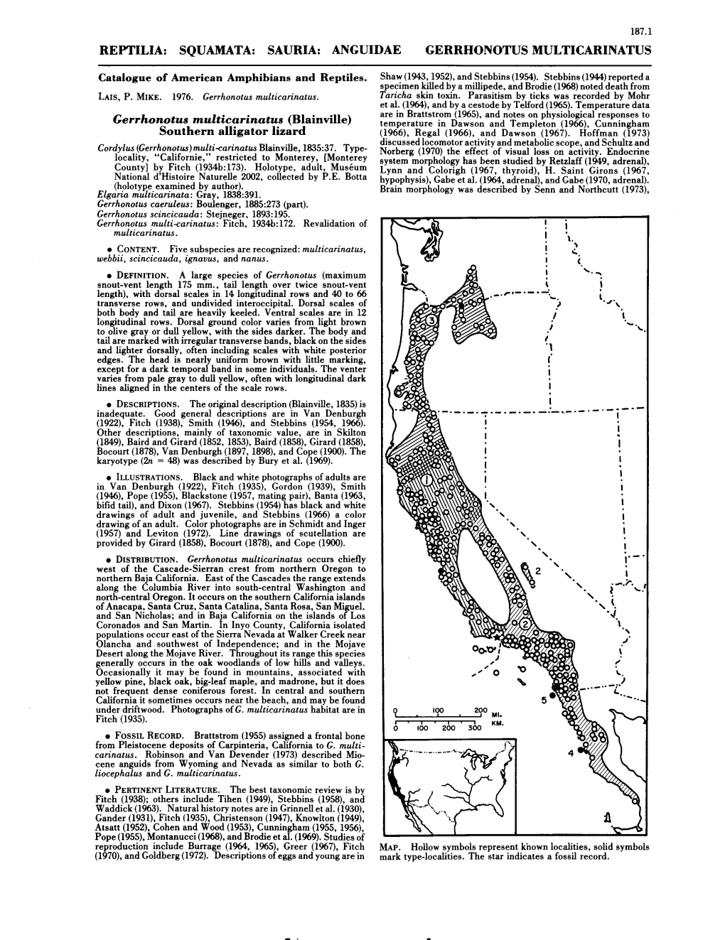 0187 Gerrhonotus Multicarinatus.Pdf