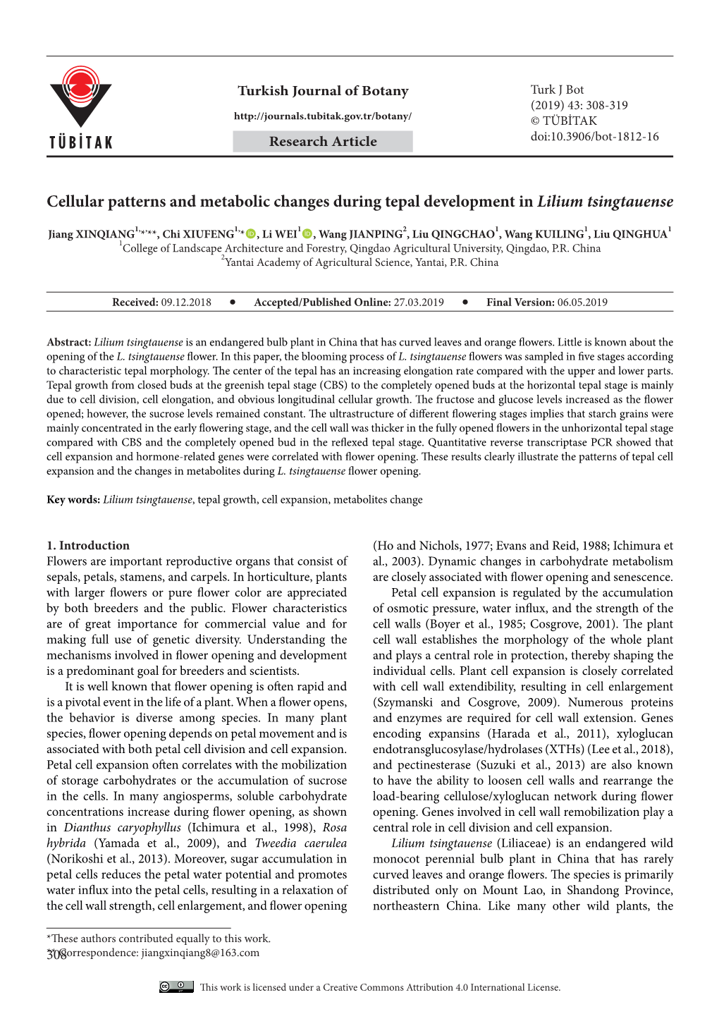 Cellular Patterns and Metabolic Changes During Tepal Development in Lilium Tsingtauense