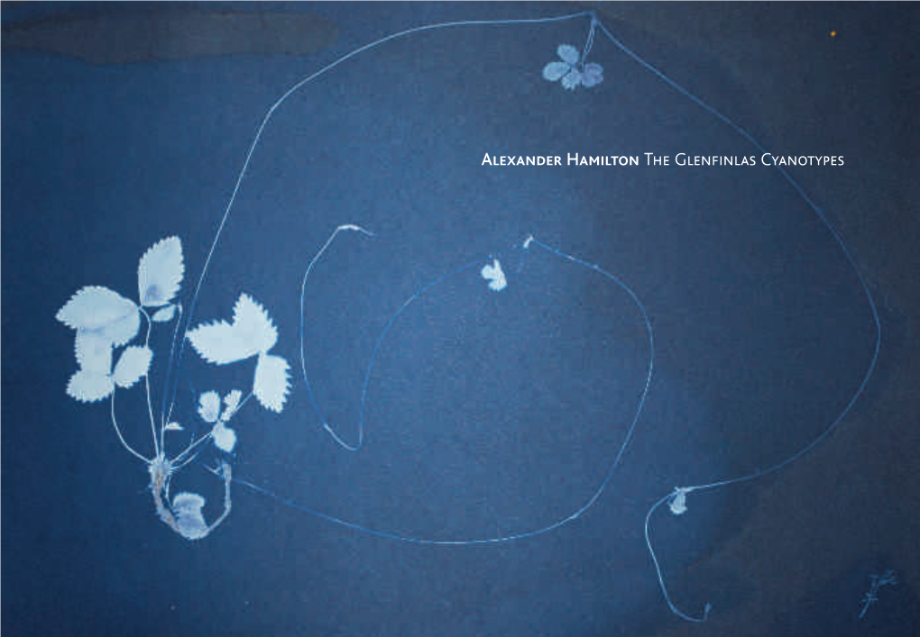 Alexander Hamilton the Glenfinlas Cyanotypes 10352 4Pp Cover 28.07:Layout 1 29/7/08 15:06 Page 3 10352 12Pp Revise 28.07:Layout 1 30/7/08 09:49 Page 1