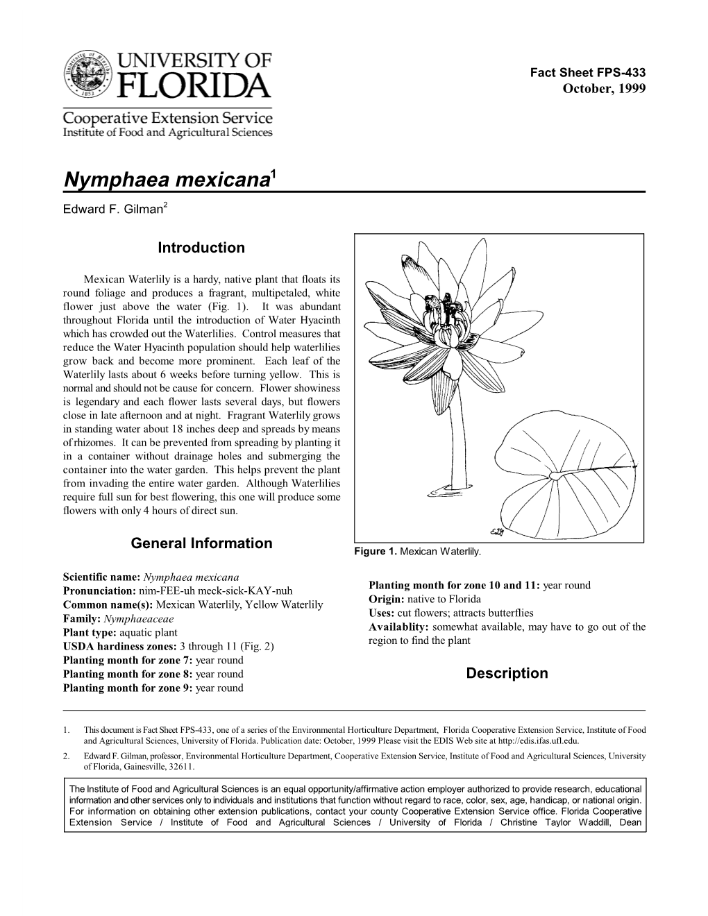 Nymphaea Mexicana1