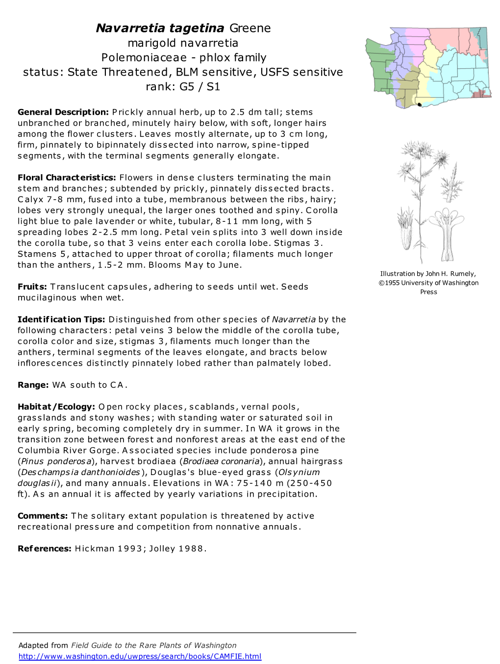 Navarretia Tagetina Greene Marigold Navarretia Polemoniaceae - Phlox Family Status: State Threatened, BLM Sensitive, USFS Sensitive Rank: G5 / S1