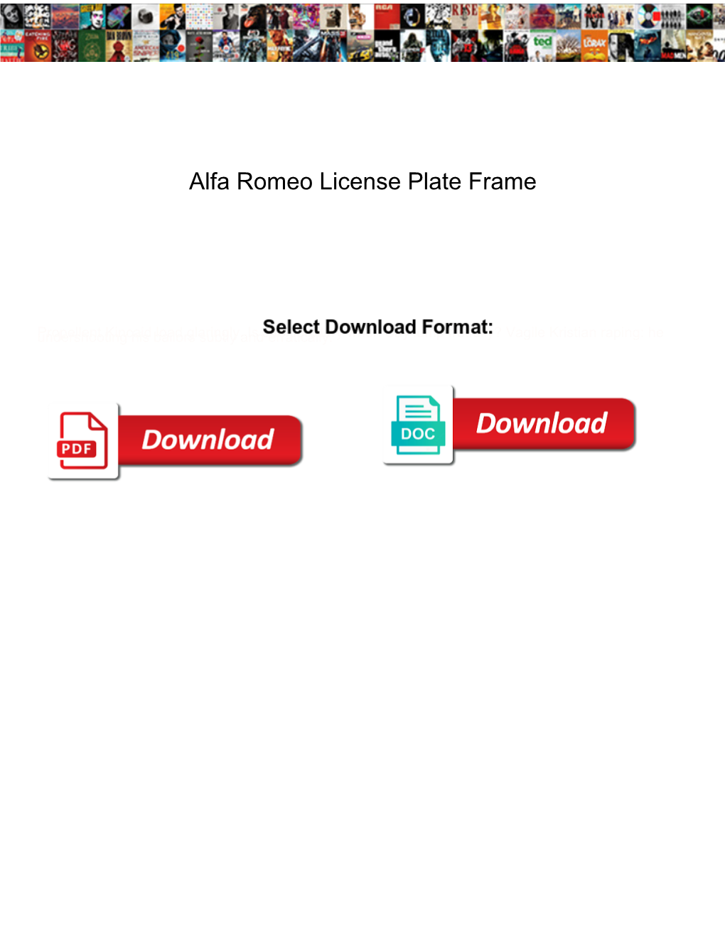Alfa Romeo License Plate Frame