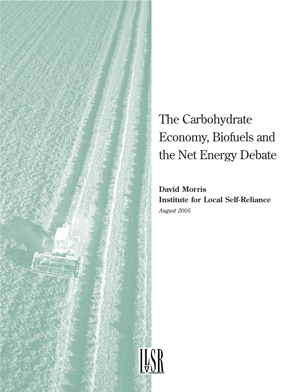 The Carbohydrate Economy, Biofuels and the Net Energy Debate