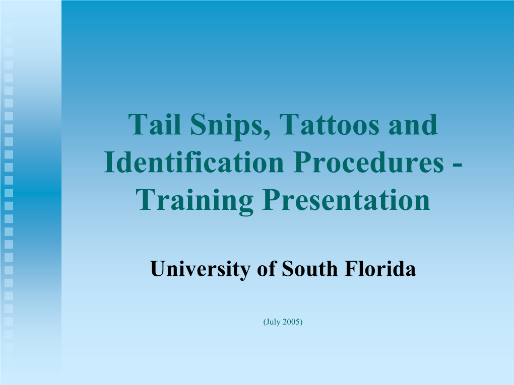 Stabile Research Building Training Presentation