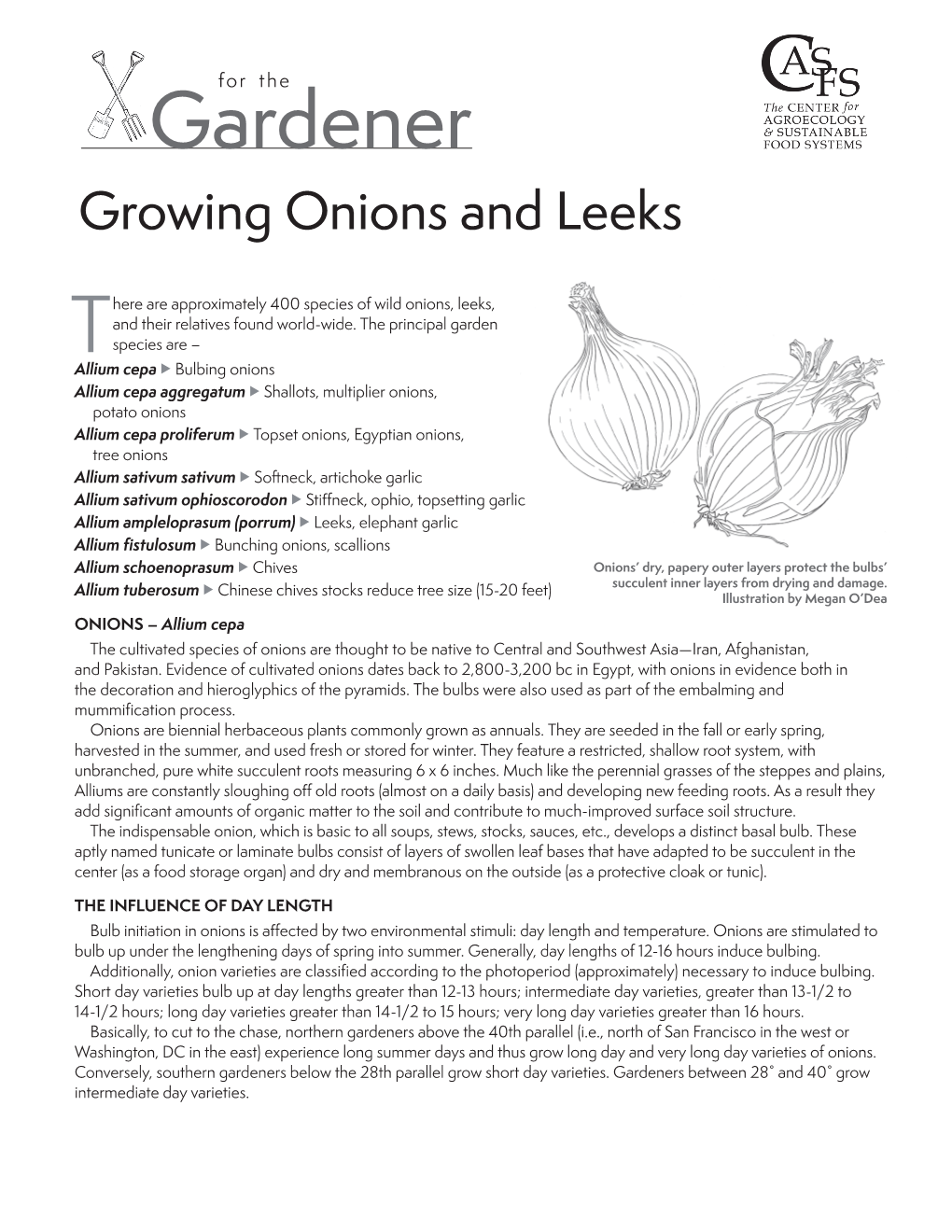 Onions and Leeks