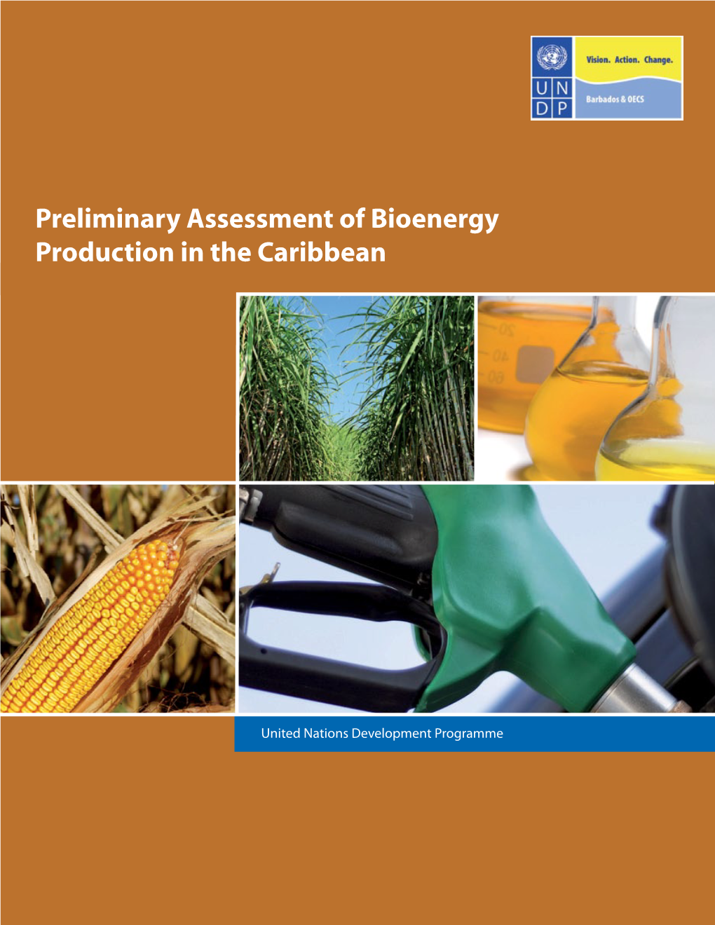 Preliminary Assessment of Bioenergy Production in the Caribbean