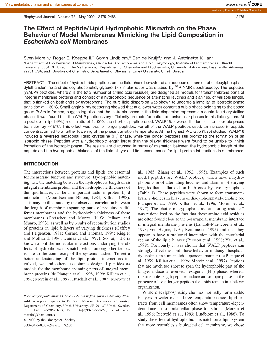 The Effect of Peptide/Lipid Hydrophobic Mismatch on the Phase Behavior of Model Membranes Mimicking the Lipid Composition in Escherichia Coli Membranes