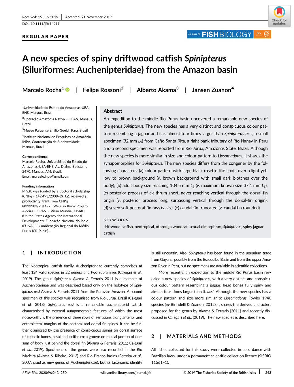 A New Species of Spiny Driftwood Catfish Spinipterus (Siluriformes: Auchenipteridae) from the Amazon Basin