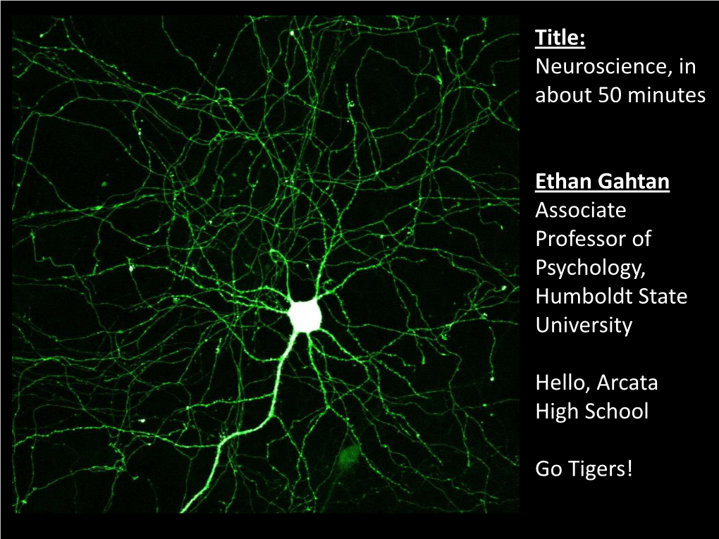 Title: Neuroscience, in About 50 Minutes Ethan Gahtan Associate Professor of Psychology, Humboldt State University Hello, Arcata