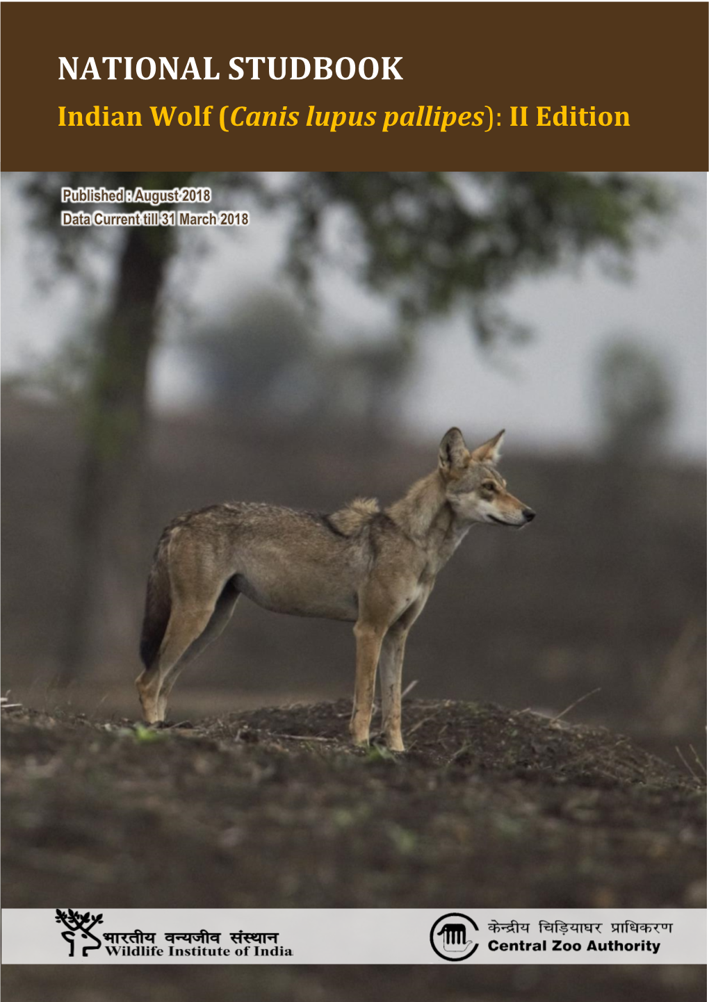 Indian Wolf (Canis Lupus Pallipes): II Edition