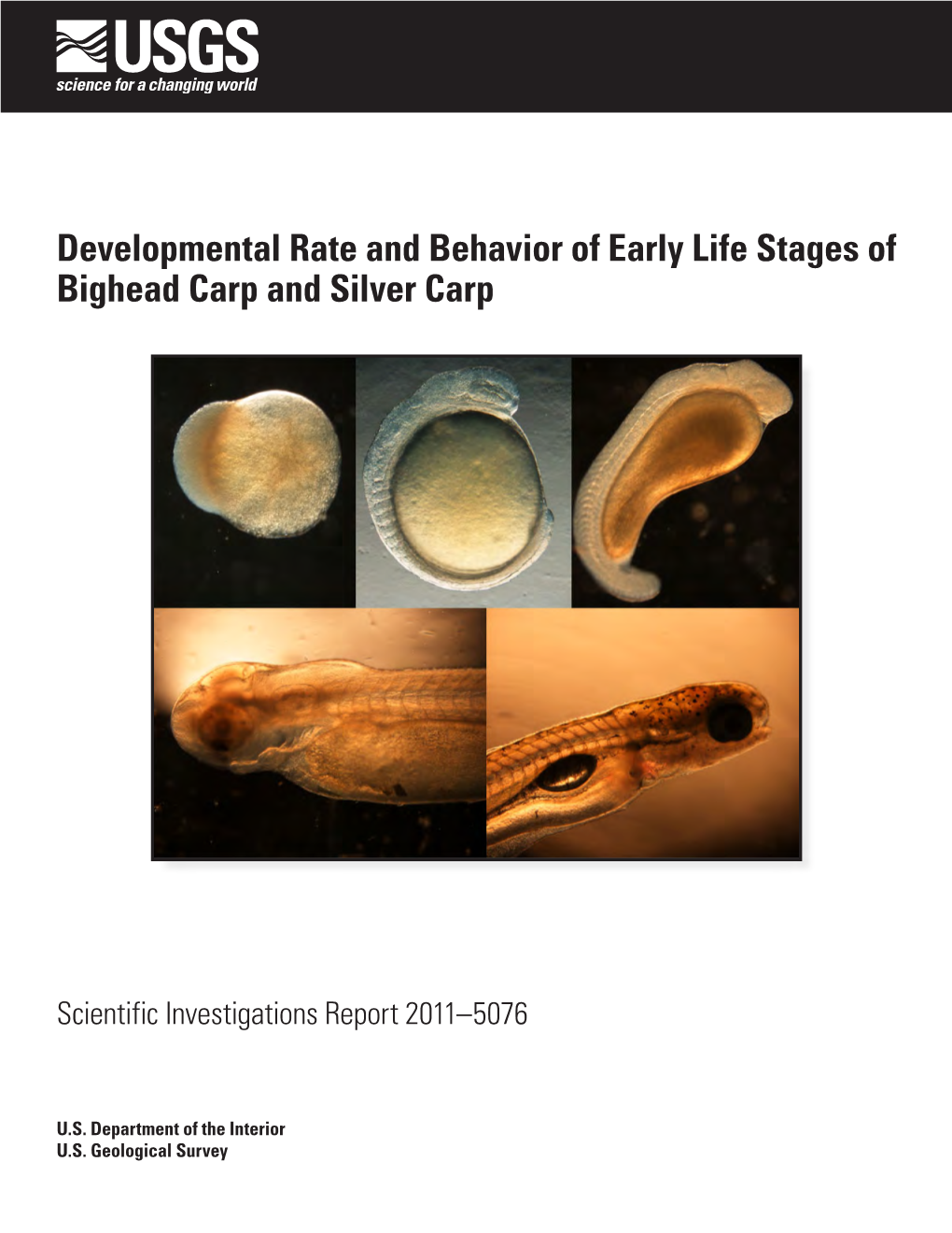 Developmental Rate and Behavior of Early Life Stages of Bighead Carp and Silver Carp