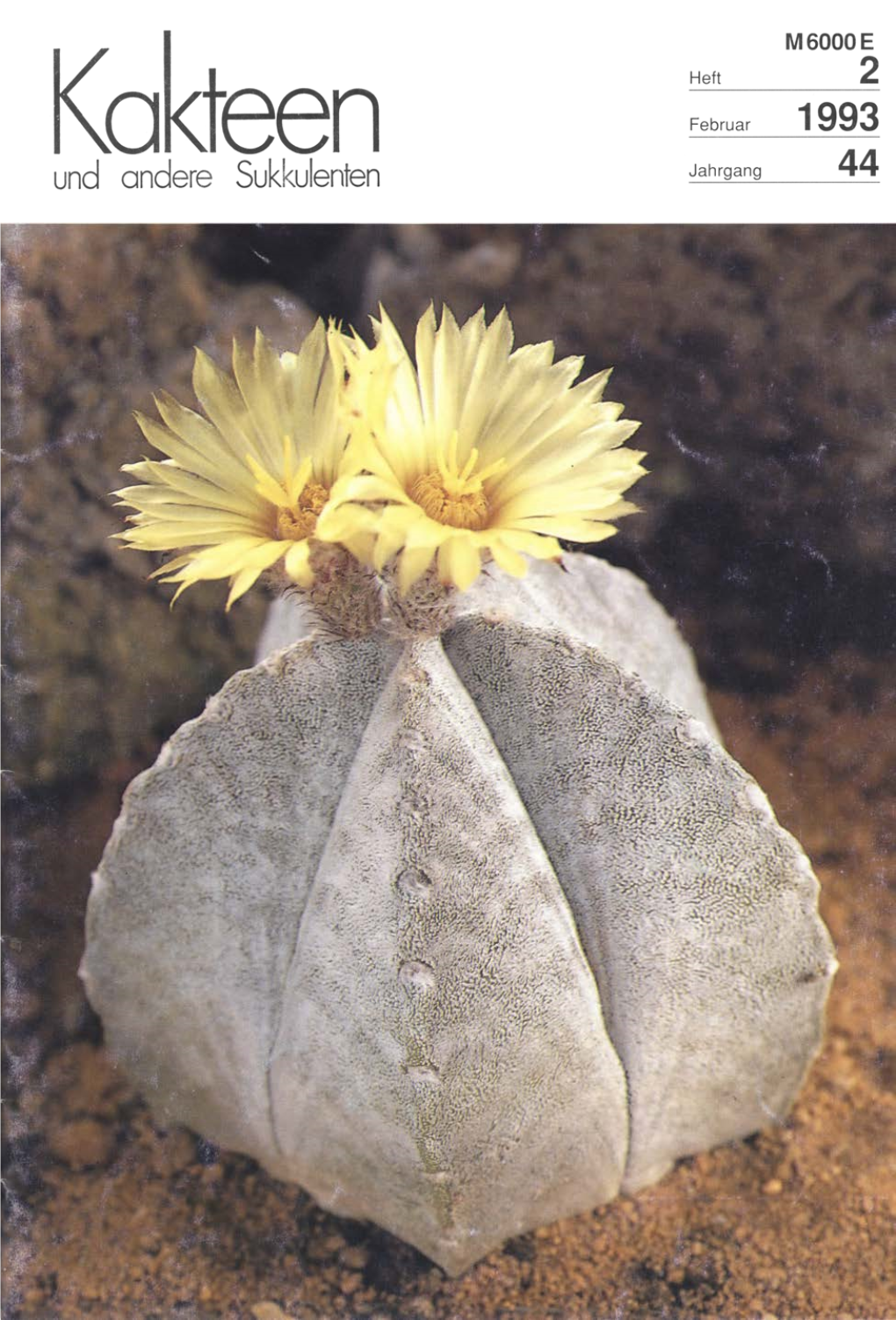 Ist Astrophytum Coahuilense Ein Naturhybrid? 37
