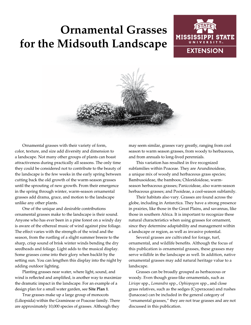 Ornamental Grasses for the Midsouth Landscape