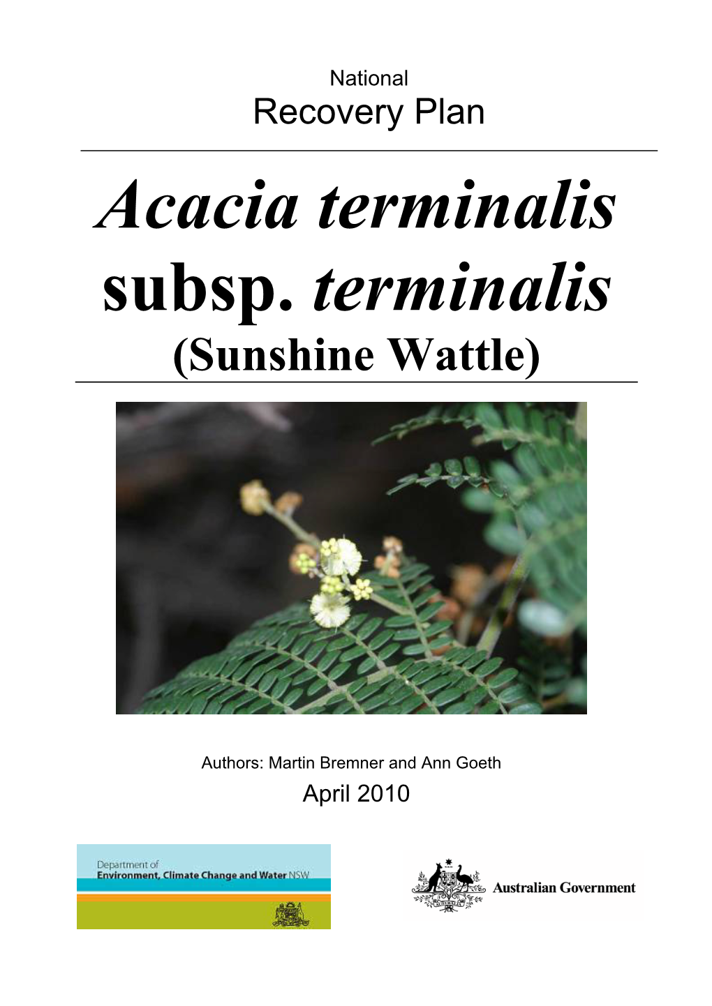 Acacia Terminalis Subsp