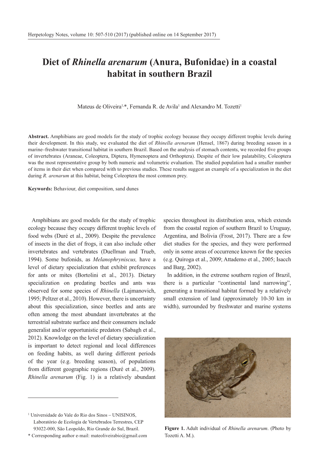 Diet of Rhinella Arenarum (Anura, Bufonidae) in a Coastal Habitat in Southern Brazil