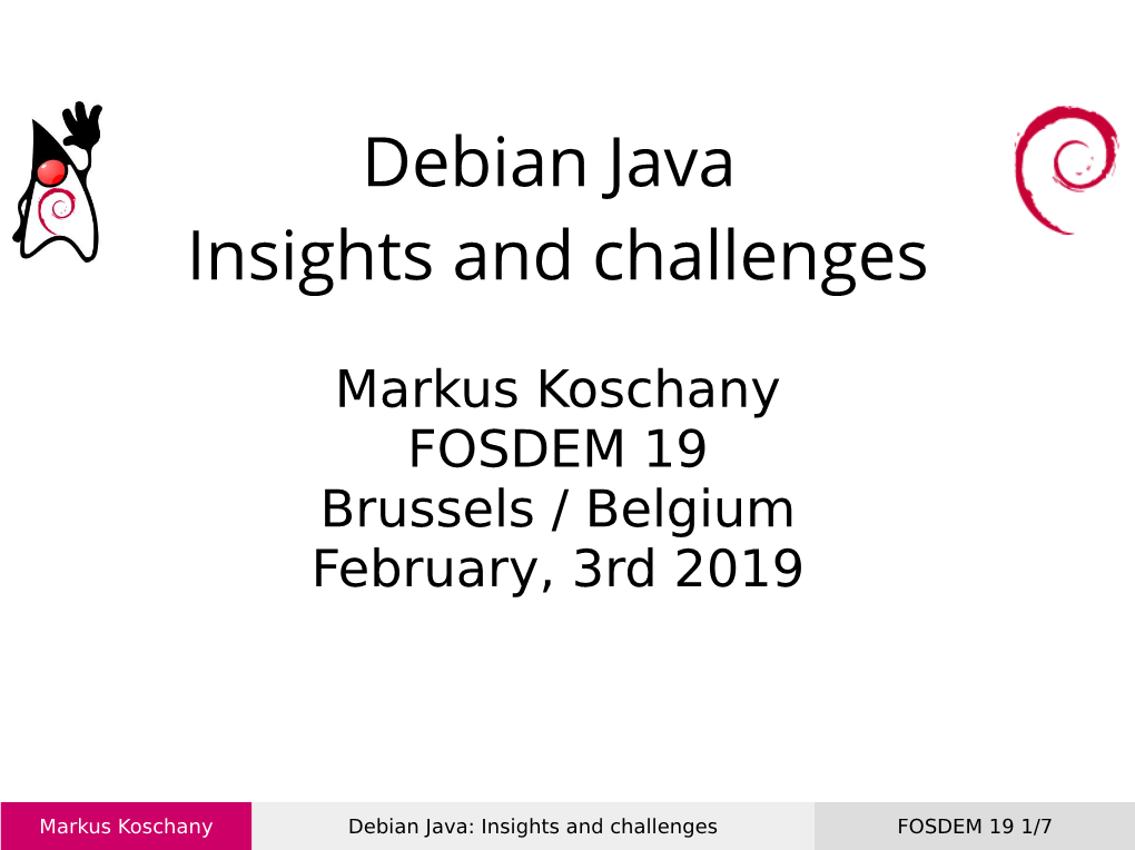 Debian Java Insights and Challenges