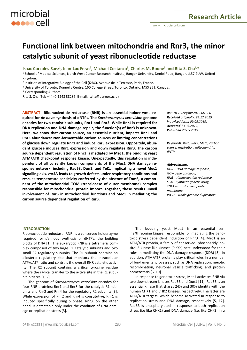 Functional Link Between Mitochondria and Rnr3, the Minor Catalytic Subunit of Yeast Ribonucleotide Reductase