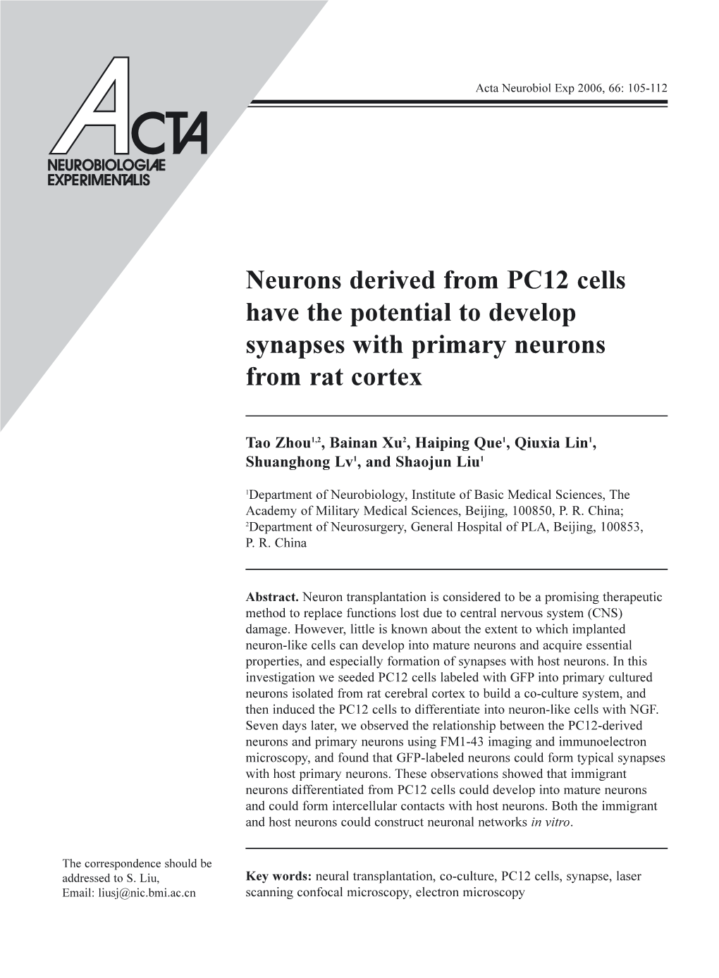 Neurons Derived from PC12 Cells Have the Potential to Develop Synapses with Primary Neurons from Rat Cortex