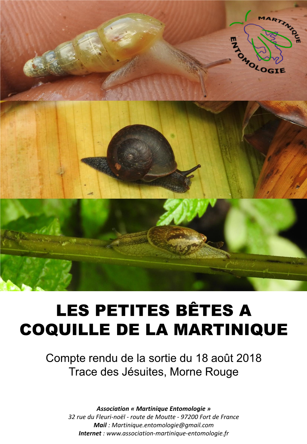 Compte Rendue Sortie Escargot