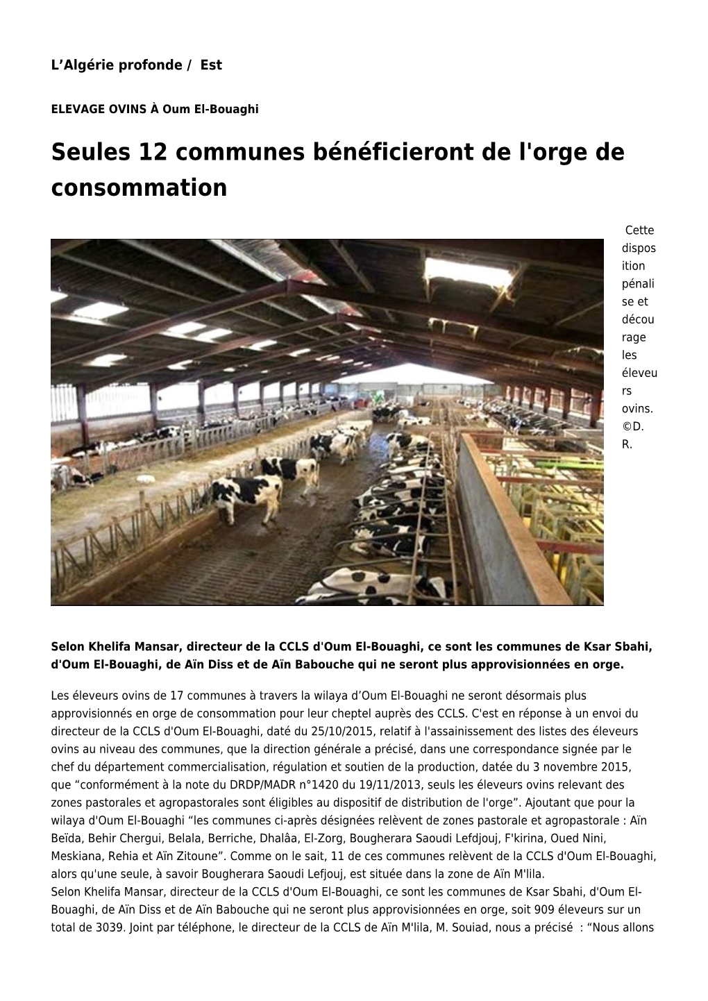 Seules 12 Communes Bénéficieront De L'orge De Consommation