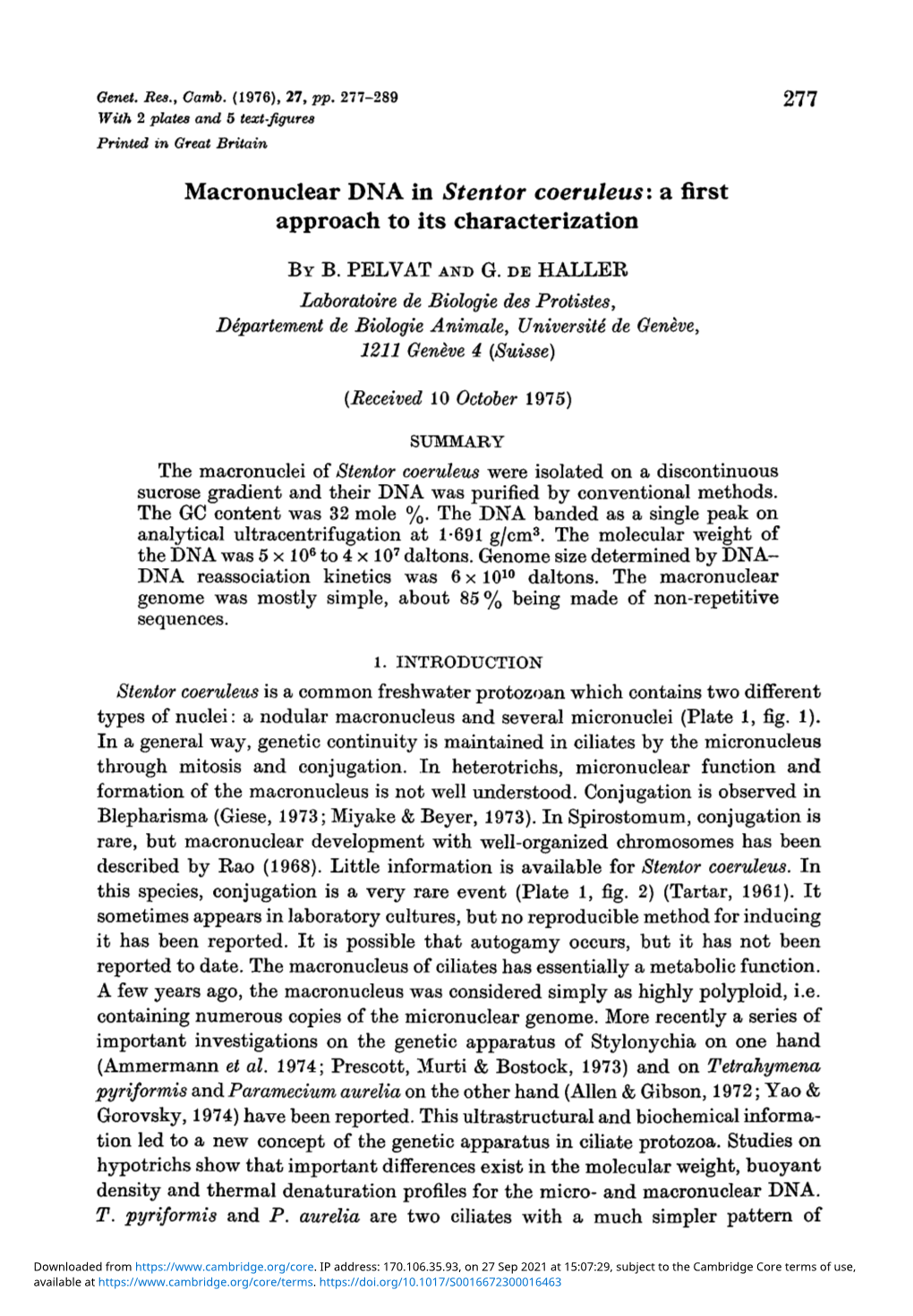 Macronuclear DNA in Stentor Coeruleus: a First Approach to Its Characterization