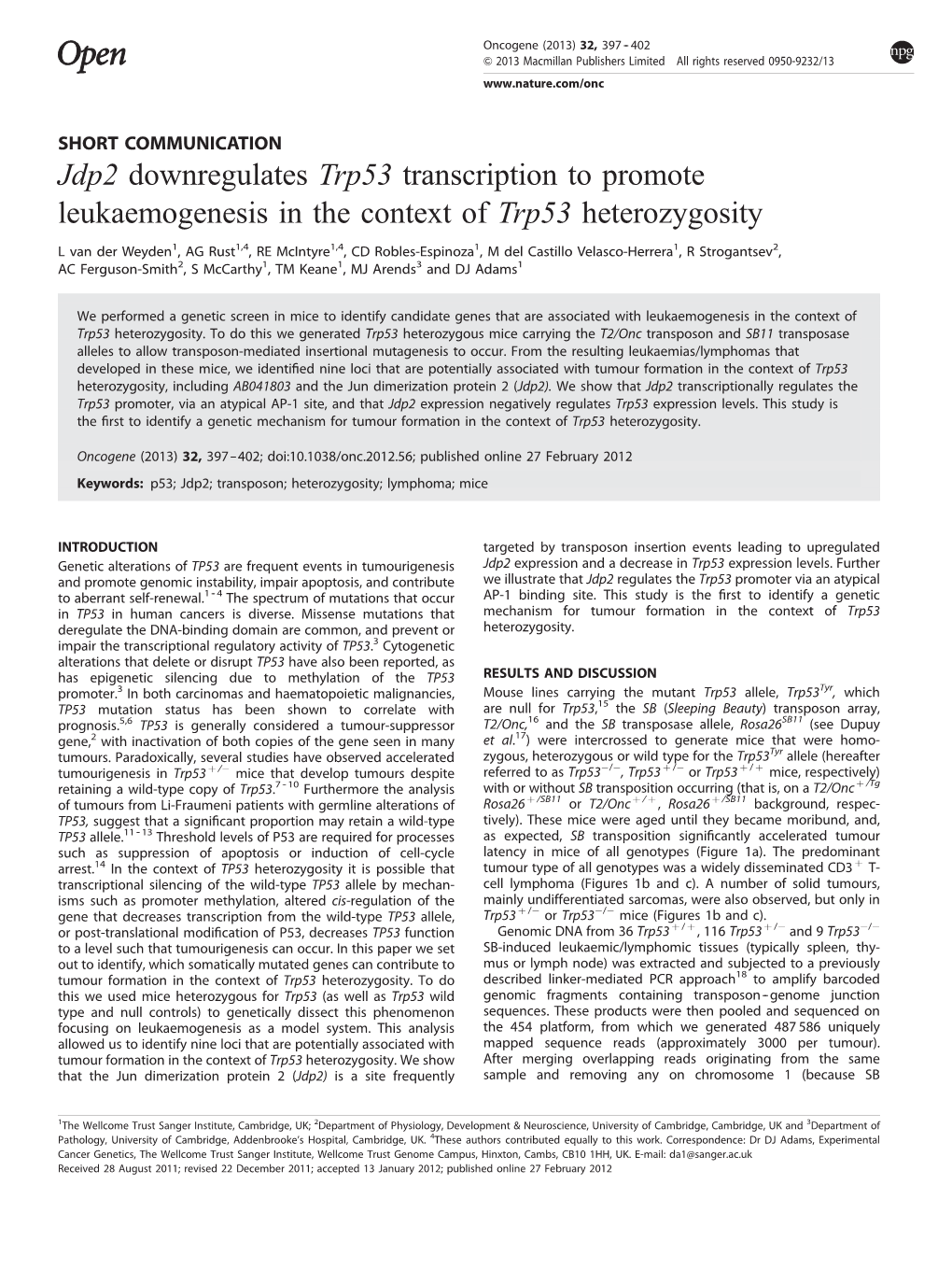 Jdp2 Downregulates Trp53 Transcription to Promote Leukaemogenesis in the Context of Trp53 Heterozygosity