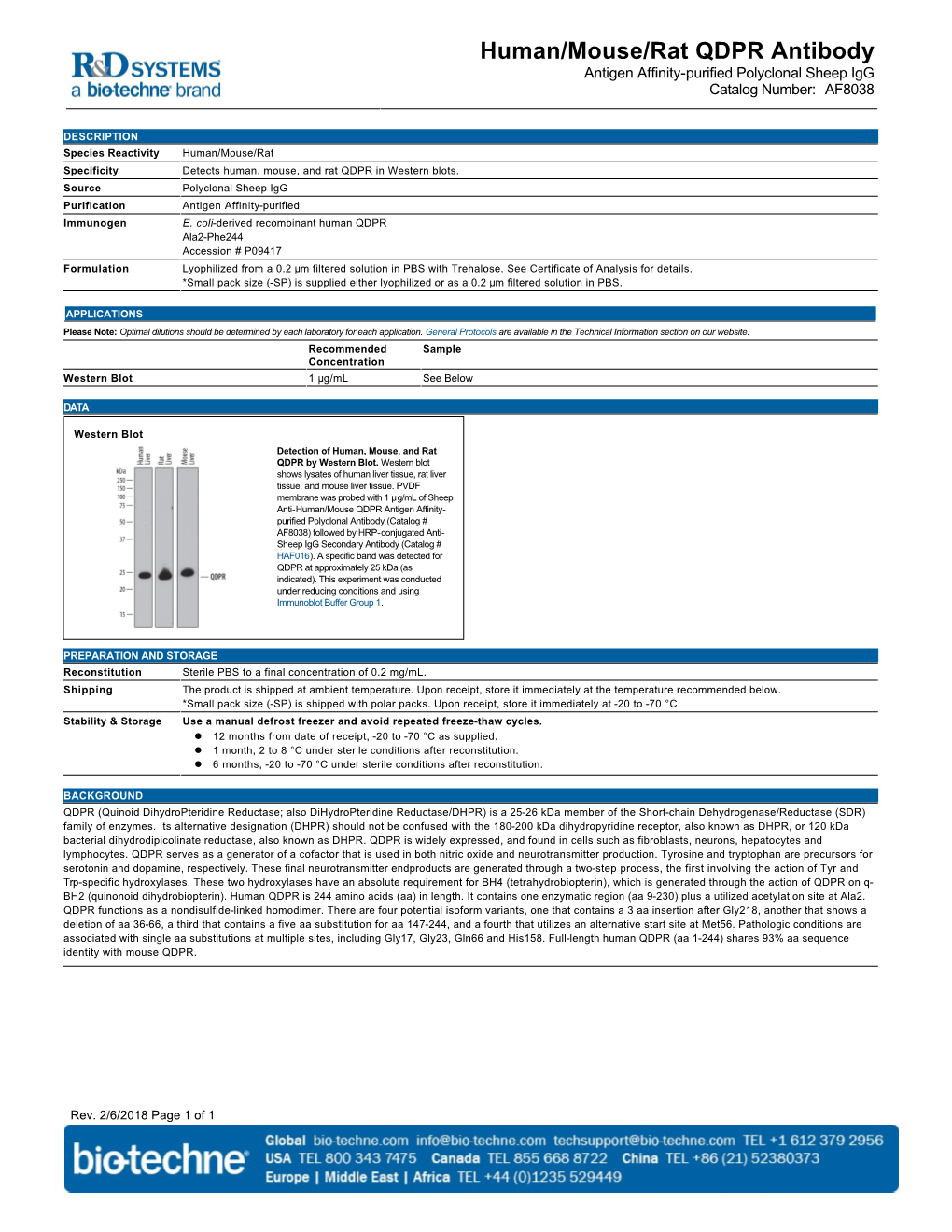 Human/Mouse/Rat QDPR Antibody Antigen Affinity-Purified Polyclonal Sheep Igg Catalog Number: AF8038
