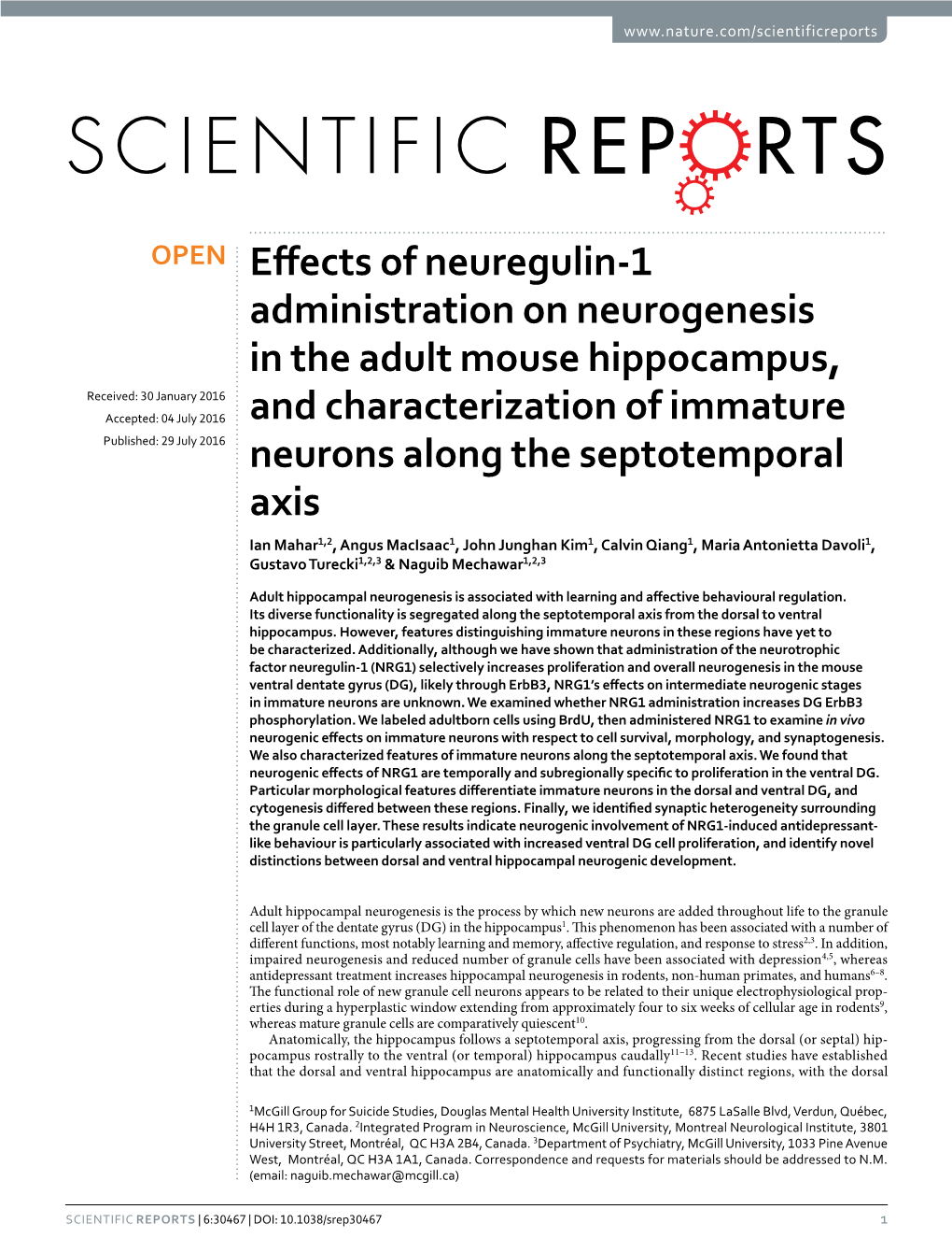 Effects of Neuregulin-1 Administration on Neurogenesis in the Adult Mouse