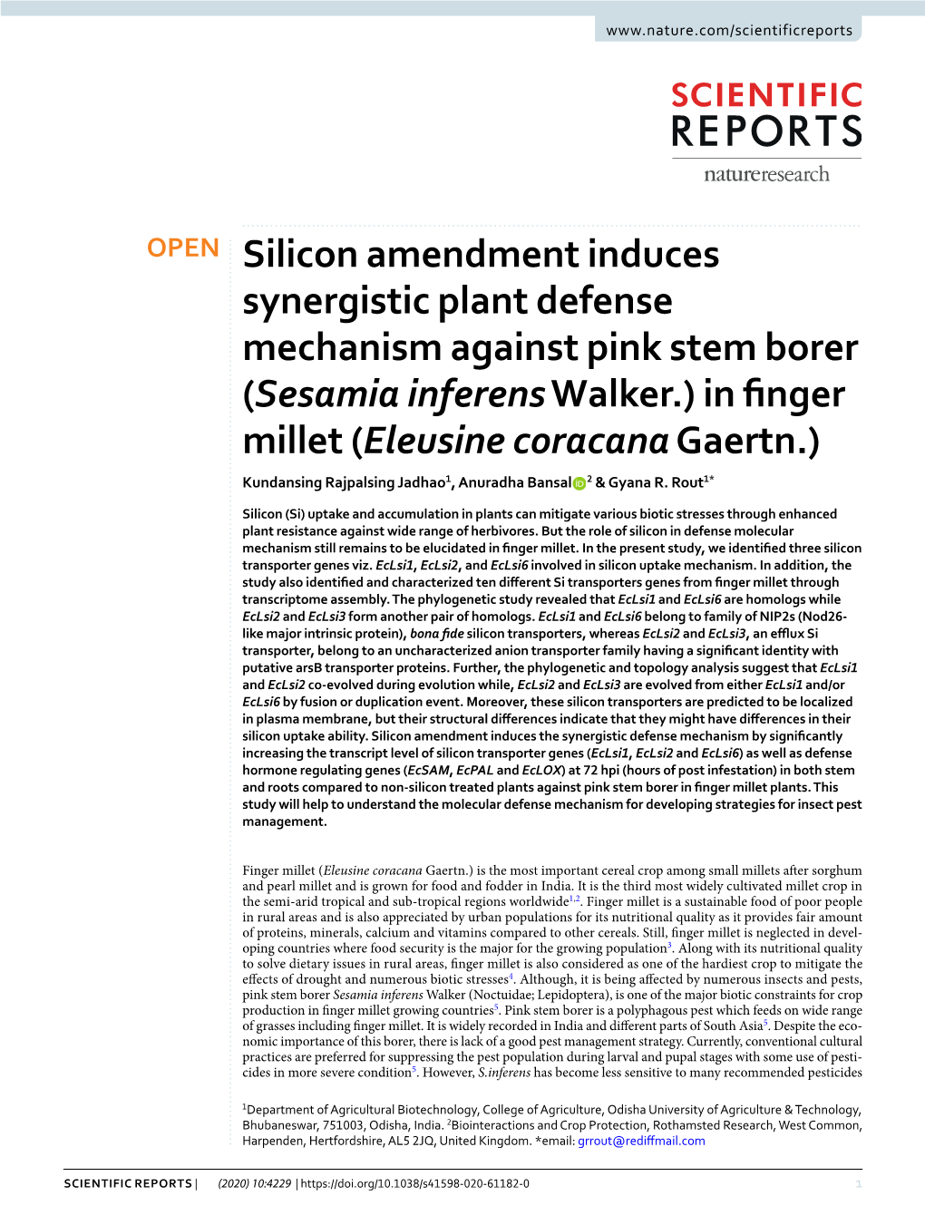 Silicon Amendment Induces Synergistic Plant Defense Mechanism Against Pink Stem Borer (Sesamia Inferens Walker.) in Finger Mille