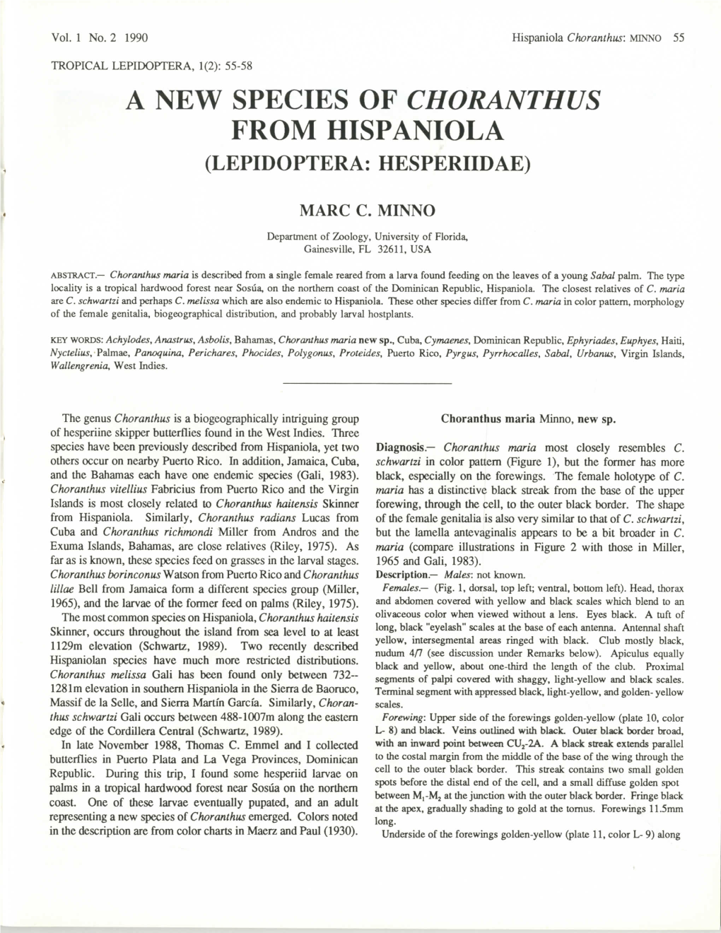 A New Species of Choranthus from Hispaniola (Lepidoptera: Hesperiidae)